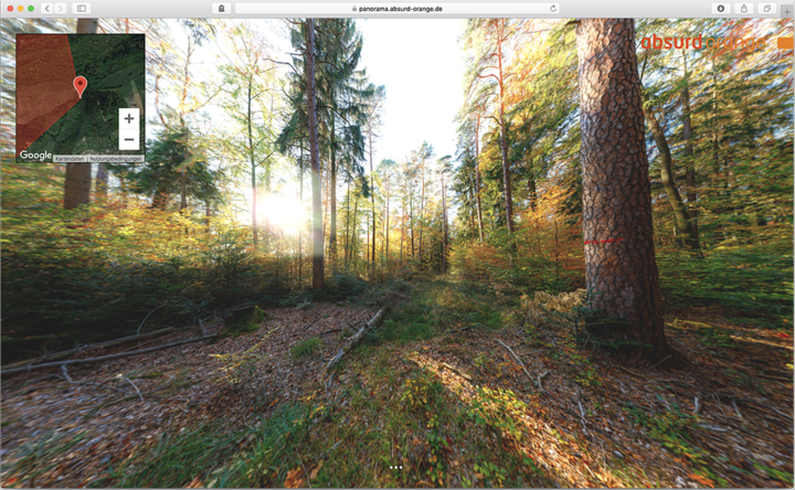 Herbstlicher Wald beim Heuberger Tor in Tübingen am Südrand des Schönbuchs